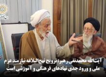 آیت‌الله محمدتقی رهبر: ترویج نهج‌البلاغه نیازمند عزم ملی و ورود جدی نهادهای فرهنگی و آموزشی است